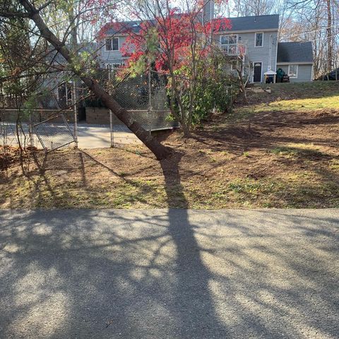 red tree with sport court