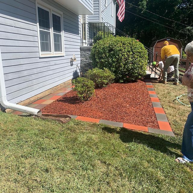 three bushes with red bark