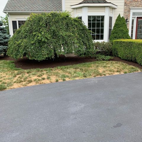 planters with fresh mulch small tree and white house