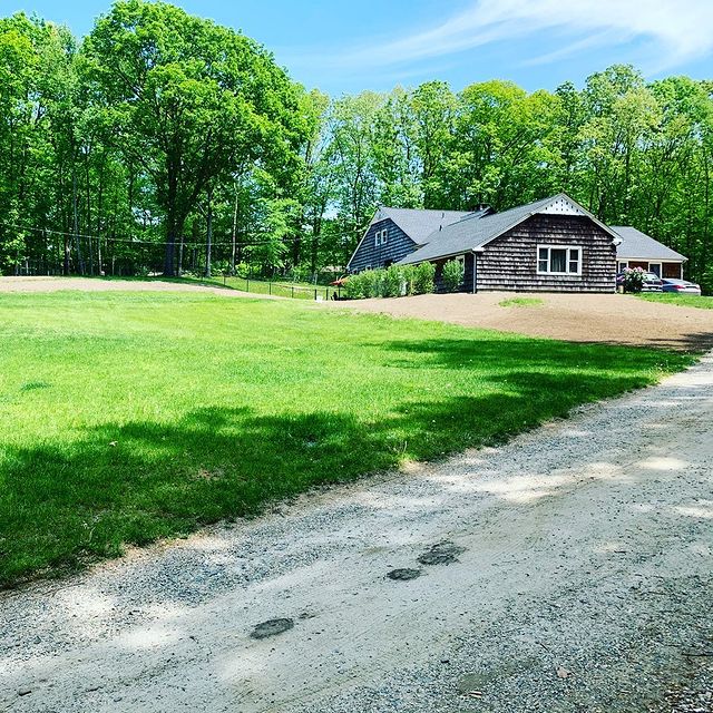 grey house around grass