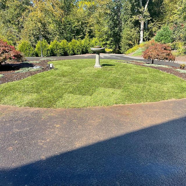 Landscape design in the center of  a circular paved area with birdbath