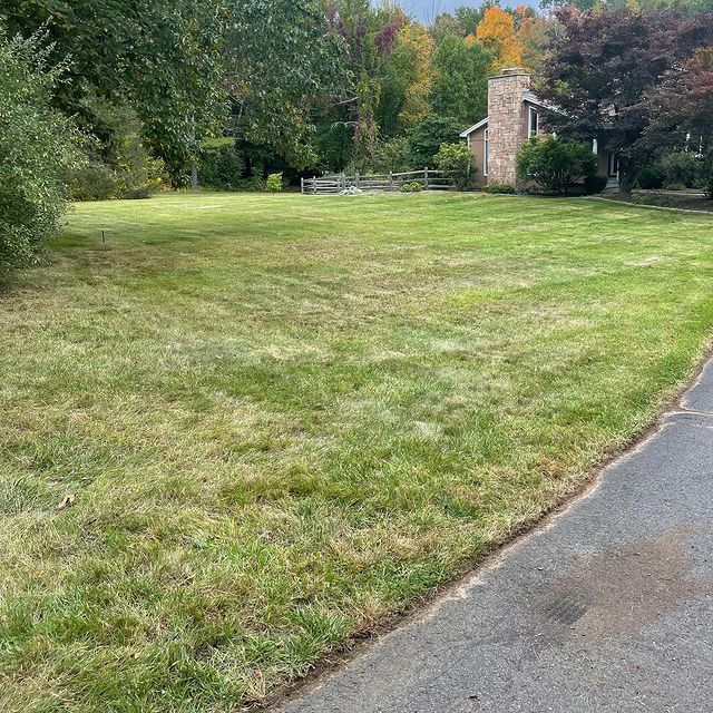 Green grass edged against driveway