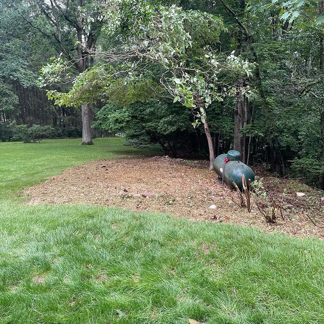 yard next to tree and an area with dirt and a water tank