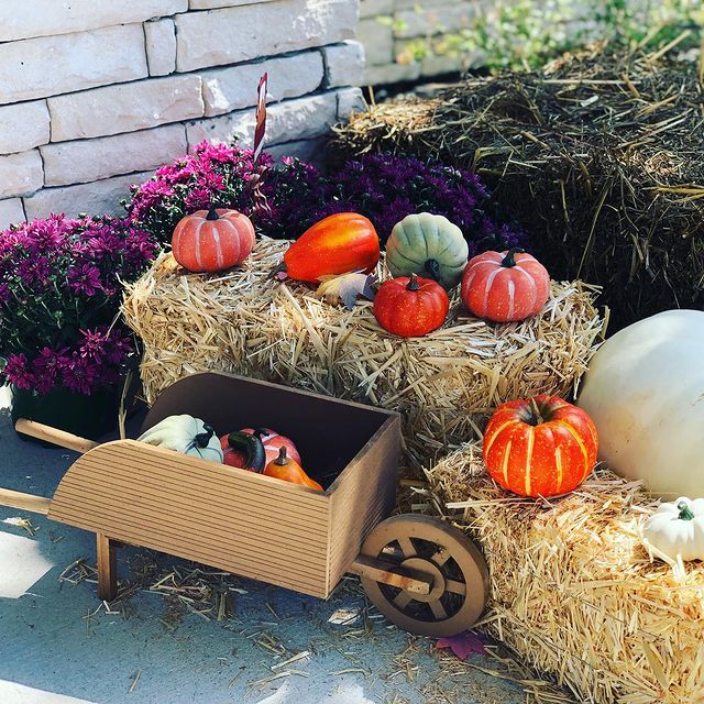 Irrigation & Lawn Care Services in Baton Rouge The Grounds Guys