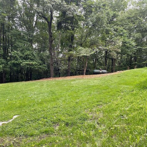 yard next to a forest