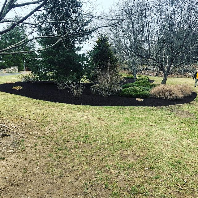 planter with fresh mulch