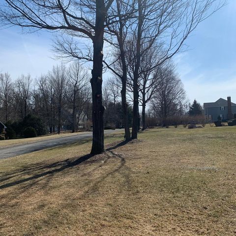 winter trees with winter colored grass