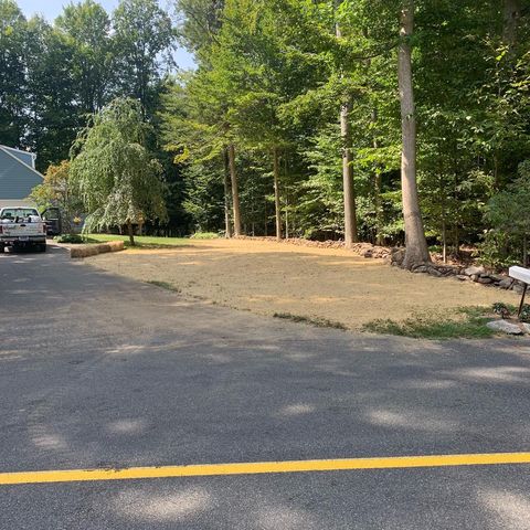 brown lawn with trees