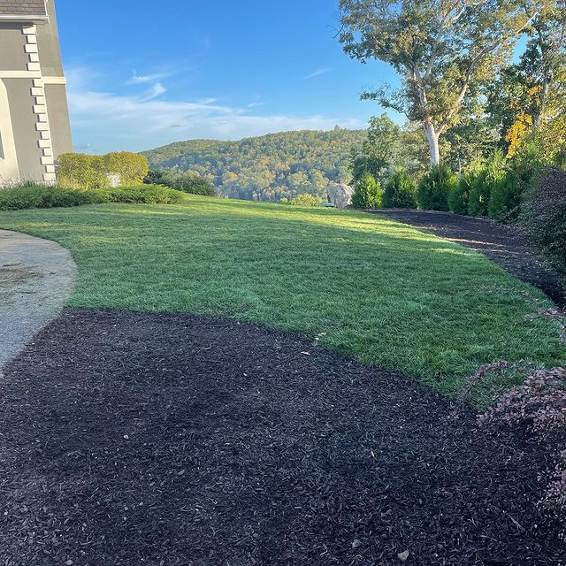 Manicured lawn with edged garden and pathway