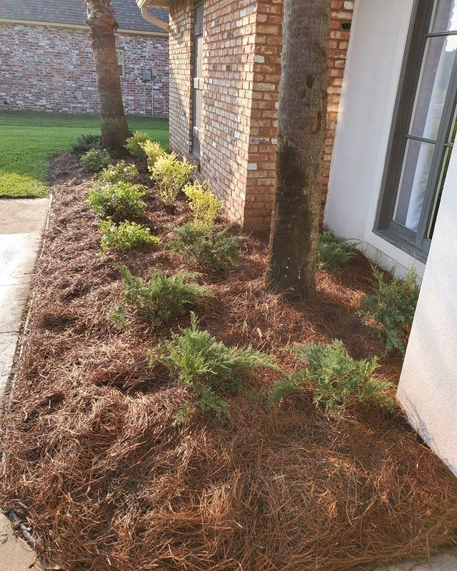 Irrigation & Lawn Care Services in Baton Rouge The Grounds Guys