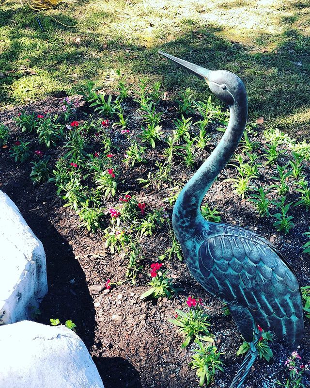 Irrigation & Lawn Care Services in Baton Rouge The Grounds Guys